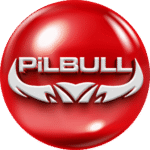 Pilbull